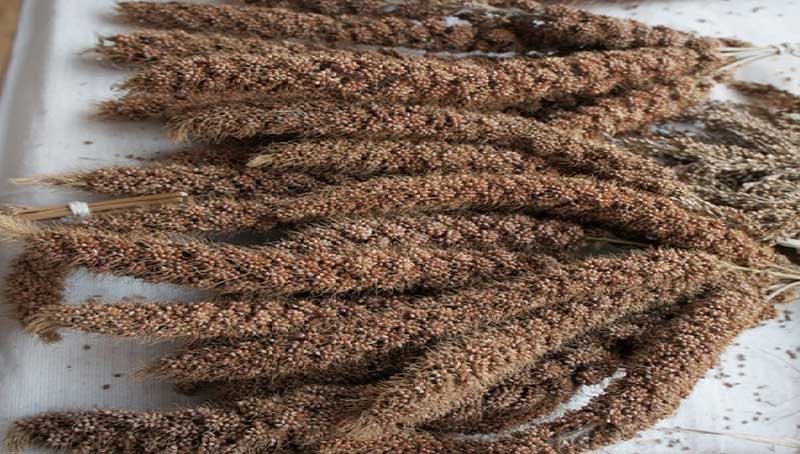 Madua Atta(1 kg)