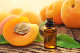 Apricot Oil (100 ml)
